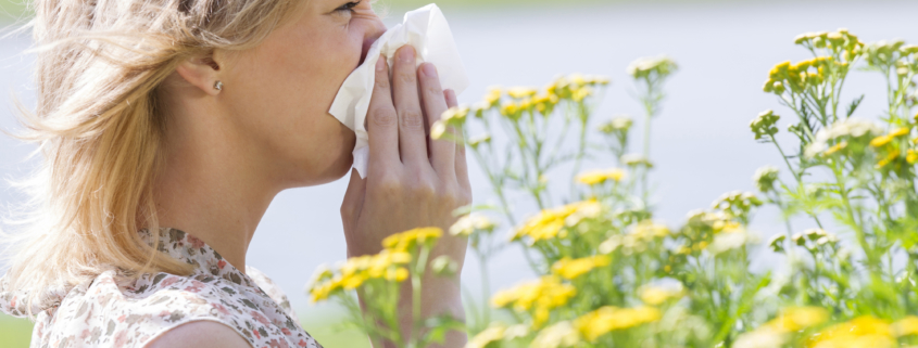 Spring Allergy Season|Ark Insurance Solutions