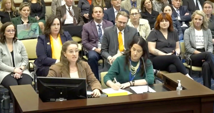 Ark Insurance Founder and CEO Rebecca Yates testifies at Utah Senate Hearing